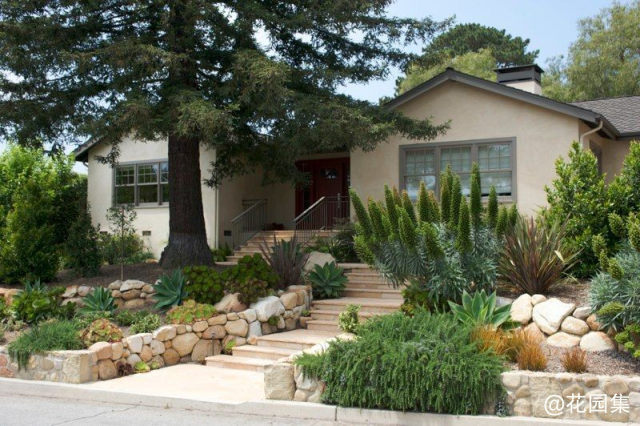 Cottage Paradise: Waterwise Succulent Garden 