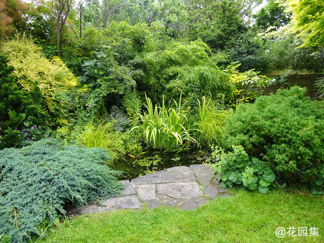  Lush Aquatic Garden Welcomes Wildlife