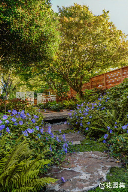 Underused Side Yard Now a Shady Retreat