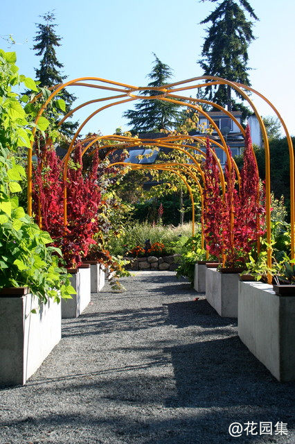 A Cozy Backyard Escape Warms Seattle Gardeners