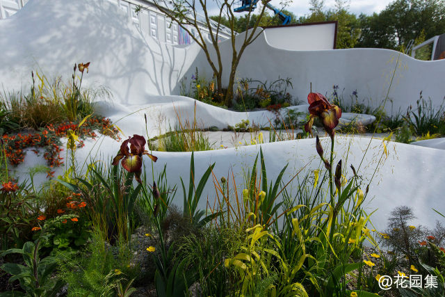 Pure Foundation Garden - RHS Chelsea Flower Show 2015